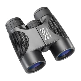 Click here to buy Bushnell H2O 10x42 Waterproof/Fogproof Binocular w/Roof Prism by Bushnell.