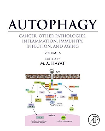 Autophagy: Cancer, Other Pathologies, Inflammation, Immunity, Infection, and Aging: Volume 6- Regulation of Autophagy and Selective Autophagy