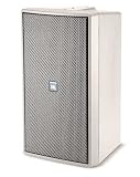 JBL Control 29AV1 Indoor Outdoor Speaker ( 8 inch, 300 watts, White ) - B000WU1DQI