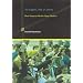 An Engine, Not a Camera: How Financial Models Shape Markets (Inside Technology Series)
