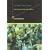 An Engine, Not a Camera: How Financial Models Shape Markets (Inside Technology Series)