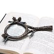 Pinecone Magnifier