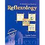 An Introductory Guide to Reflexology