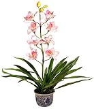 Review i-koncepts Ltd  / 70cm Pale Pink Single Stem Orchid - Artificial Flower