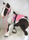 Butterscotch S'Mores Interactive Horse Saddle Set -Pink Sm Flowers