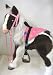 Sporting Goods : Butterscotch S'Mores Interactive Horse Saddle Set -Pink Sm Flowers