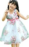 Uninukoo Girls' Floral Bow Belted Short Sleeve Tulle Dress Skirt