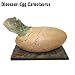 ダイナソーディノエッグ（Dino Egg）シリーズ　カルノタウルス_s-3