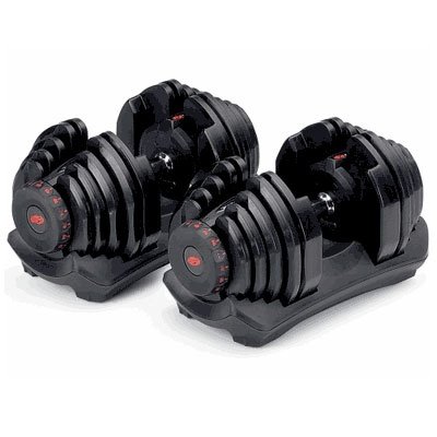 Bowflex SelectTech 1090 Dumbbell Pair