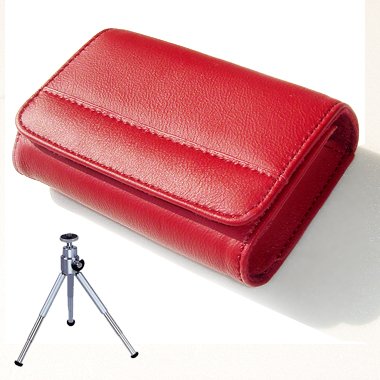 The Drucker Lectures: Essential  Lessons  on Management, Socirty and Economy (Chinese Edition)