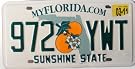 Florida MyFlorida.com License Plate Green Letters with Twin Orange