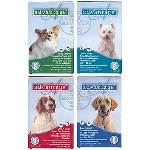 Bayer Advantage 6 Packs Blue Flea & Tick Treatment- Dog 55 Lbs. & Up