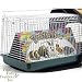 Spet Take Me Home Carrier Lge