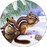 Chipmonk Berry Good Day Tire Cover by Tire Cover Central