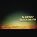 Music : Slow Burning Lights