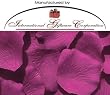 1000 Silk Rose Petals Wedding Favors - Solid Colors - Raspberry