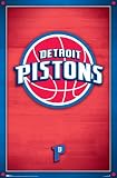 Detroit Pistons (New Logo) Sports Poster Print - 24