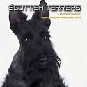 Scottish Terriers 16 Month Dogs Calendar 2010