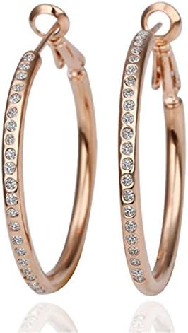 Aliliya High Quality Jewelry Signature Pave Exquisite High-End Crystal Earring - Environmental Elegant Upscale Rose Gold Czech Diamond Earrings Round