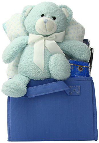 Great Arrivals Baby Gift Basket, Welcome Home Baby Boy
