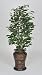 Artificial Green Ficus Floor Plant in Hammered Metal