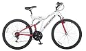 Woodworm GXI PRO Mountainbike 26" R&auml;der