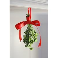 Real Mistletoe - Preserved to Last - Non-perishable