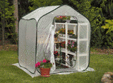 Outdoor Living : FlowerHouse FHSP300 SpringHouse Greenhouse