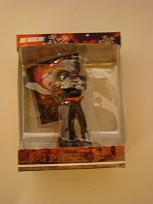 Nascar #24 Jeff Gordan Ornament