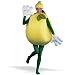 Lemon Costume Adult