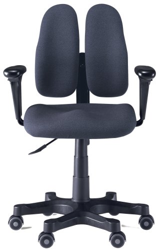 デュオレストチェア 【ローバック】 布張り DR-250 ブラック 