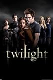 Cullens Group - Twilight - Maxi Poster - 61 cm x 91.5 cm