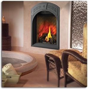 Napoleon fireplace, natural gas direct vent 26,000 btu's park aveune