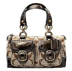 Coach Signature Bleecker Zip Satchel Bag 12395 Flint
