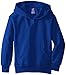 Hanes Boys Eco Smart Pullover Hoodie, Deep Royal, Medium