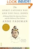 The Spirit Catches You and You Fall Down: A Hmong Child, Her American Doctors, and the Collision of Two Cultures