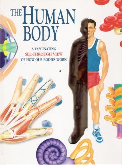 the human body a fascinating see through view of how our bodies work