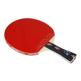  DHS X4002 (FL) New X-Series ALL-STAR Table Tennis Racket