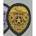 POLICE OFFICER Uniform Patch Badge Shield Emblem Insignia GOLD on BLACK (2 Patches INCLUDED, PAIR !)