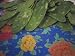 Marketplace, Nopal Cactus Leaves, Oaxaca, Mexico Photographic Poster Print by Judith Haden, 16x12