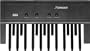 Studiologic MP-117 MIDI Foot Controller Pedalboard (Standard)