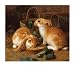 Kaninchenfutter I von Alfred Barber, 43x40