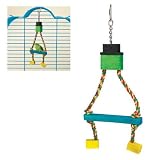 Brainy Bird Peep Series Petey Perch by brainy bird