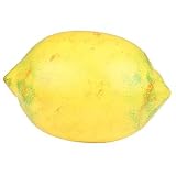 Lemon Shaker