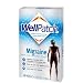MIGRAINE COOLING HEADACHE PADS WELLPATCH 4/BOX