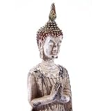 Review The Tribeca Gift Company  / Rustic Stone Effect Buddha Praying