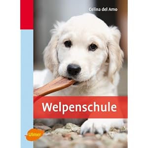 Welpenschule
