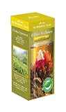 Primula Flowering Green Teas with Jasmine, 8-Count Pods (Pack of 2)