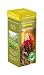 Primula Flowering Green Teas with Jasmine, 8 Count Pods