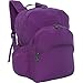 LiteGear RFID City Pack (Purple)